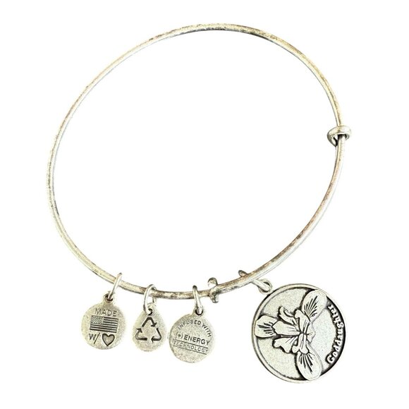 Blessed Bond Alex and Ani Goddaughter Charm Bracelet in Rafaelian Silver 2014 Se - Picture 14 of 14
